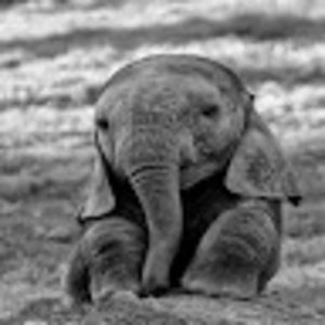 Meet your Posher, Sonya